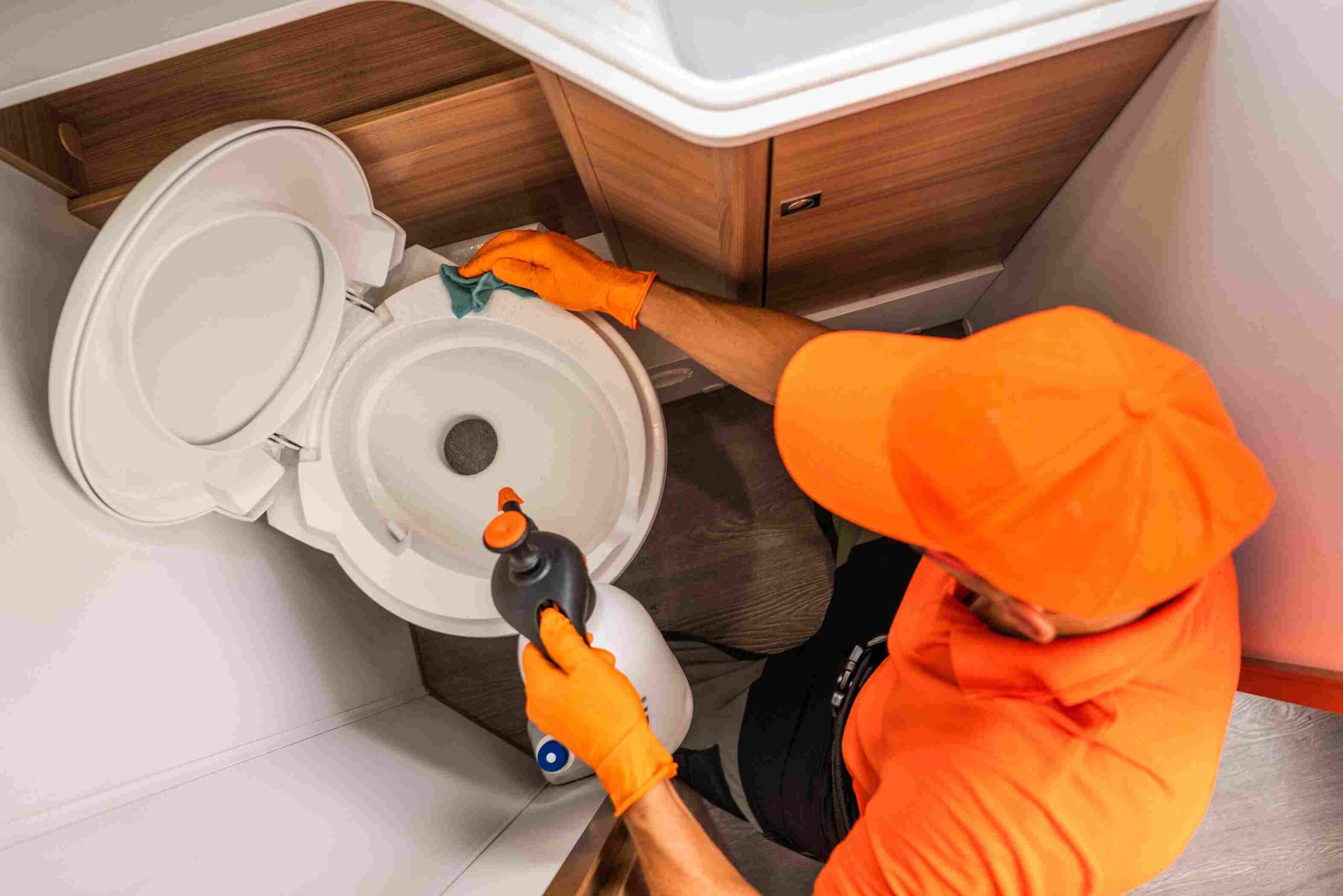 clogged toilet repair